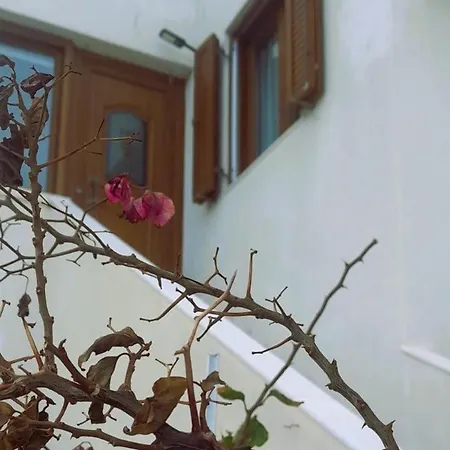 Apartman Araucaria -the Sunset View- *