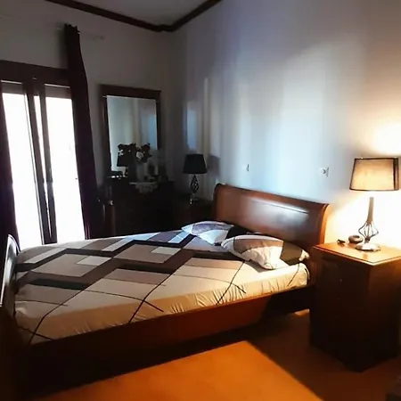 Araucaria -the Sunset View- *